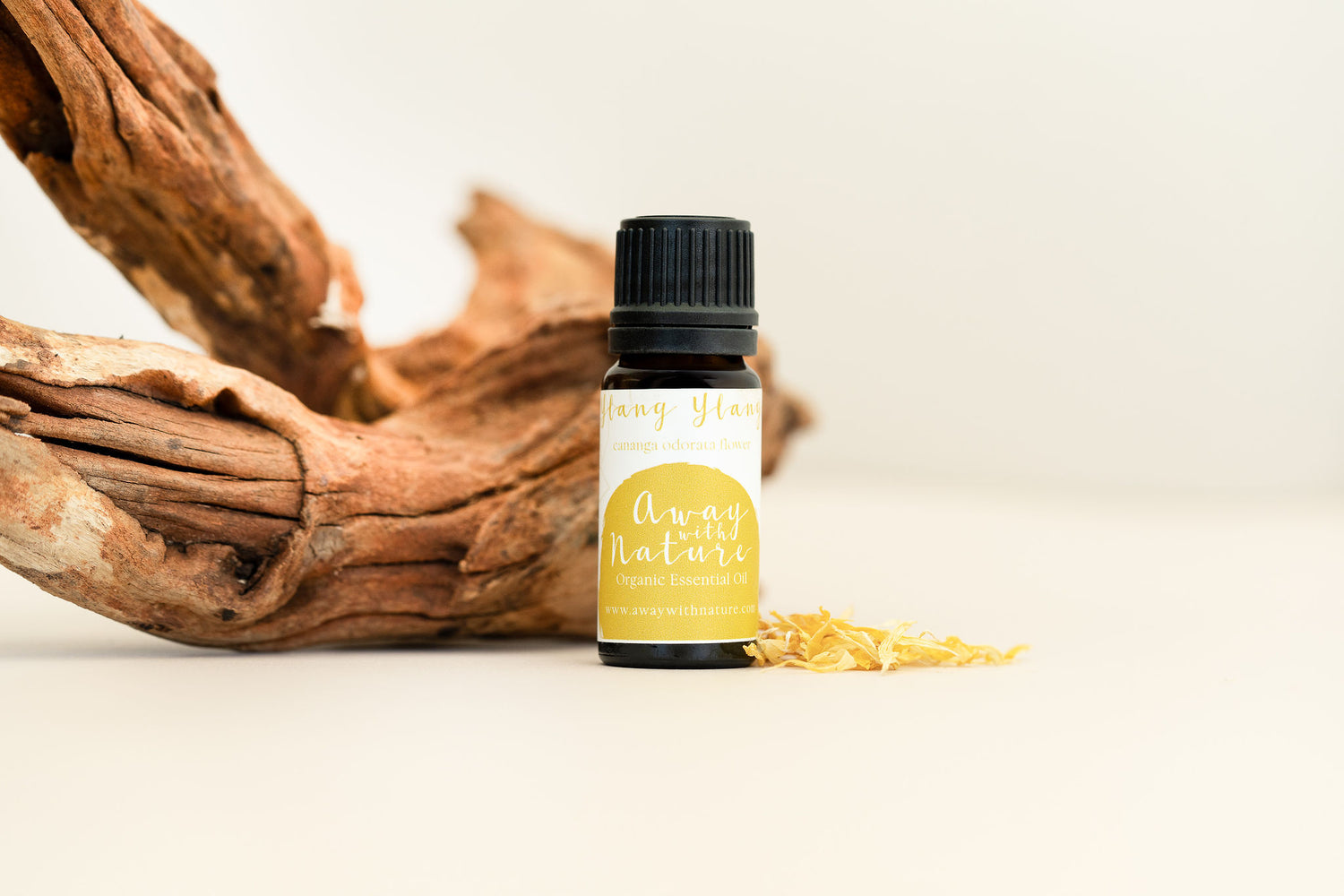 Organic Ylang Ylang Essential Oil {10ml}