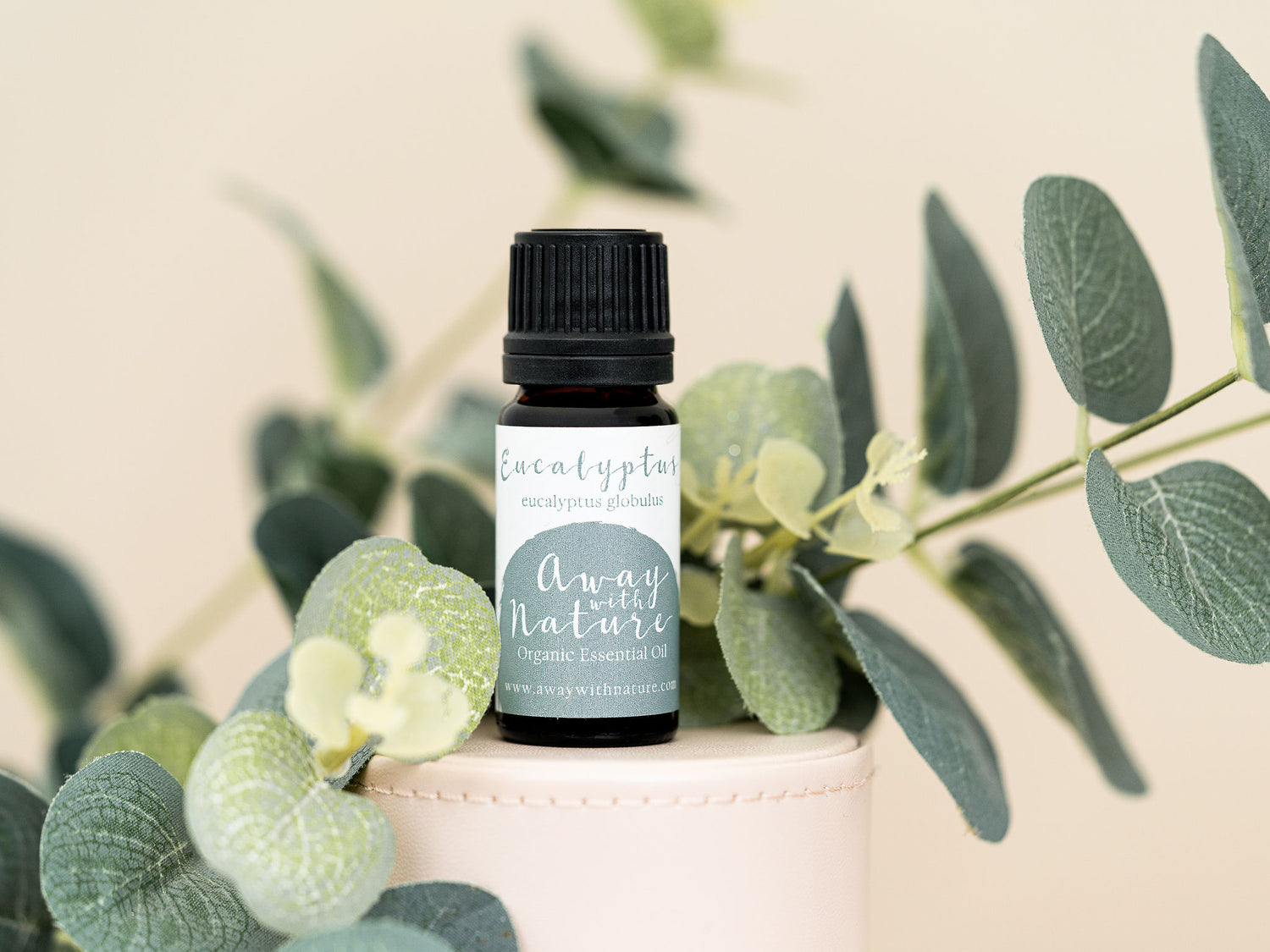 Organic Eucalyptus Essential Oil {10ml}