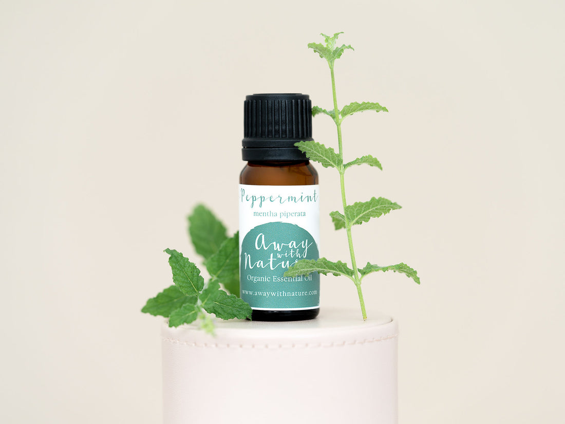 Organic Peppermint Essential Oil {10ml}